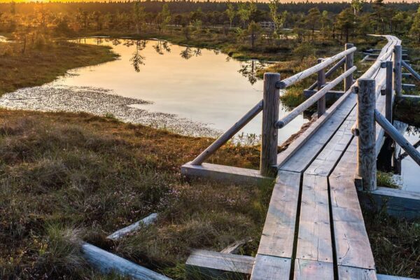 Ķemeri National Park & Jūrmala Day Tour from Riga
